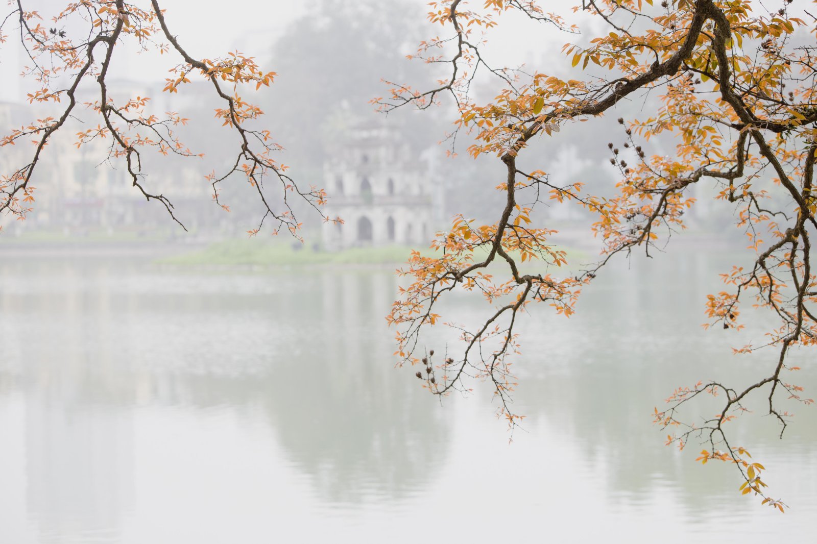 cuong_art-talk-6520941.jpg Cuong art talk 6520941